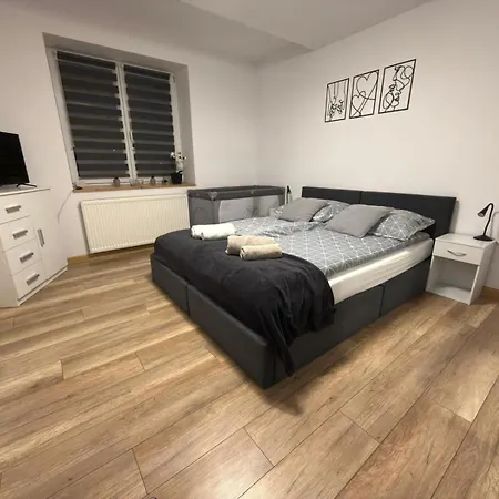 Dom Na Kasztanowej - Balia I Sauna - Dom Na Wylacznosc - Wielkanoc Majowka Lodygowice