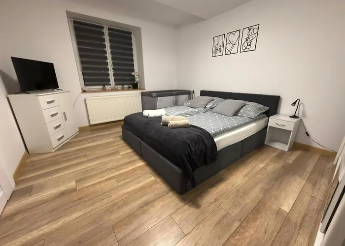 Dom Na Kasztanowej - Balia I Sauna - Dom Na Wylacznosc - Wielkanoc Majowka Lodygowice